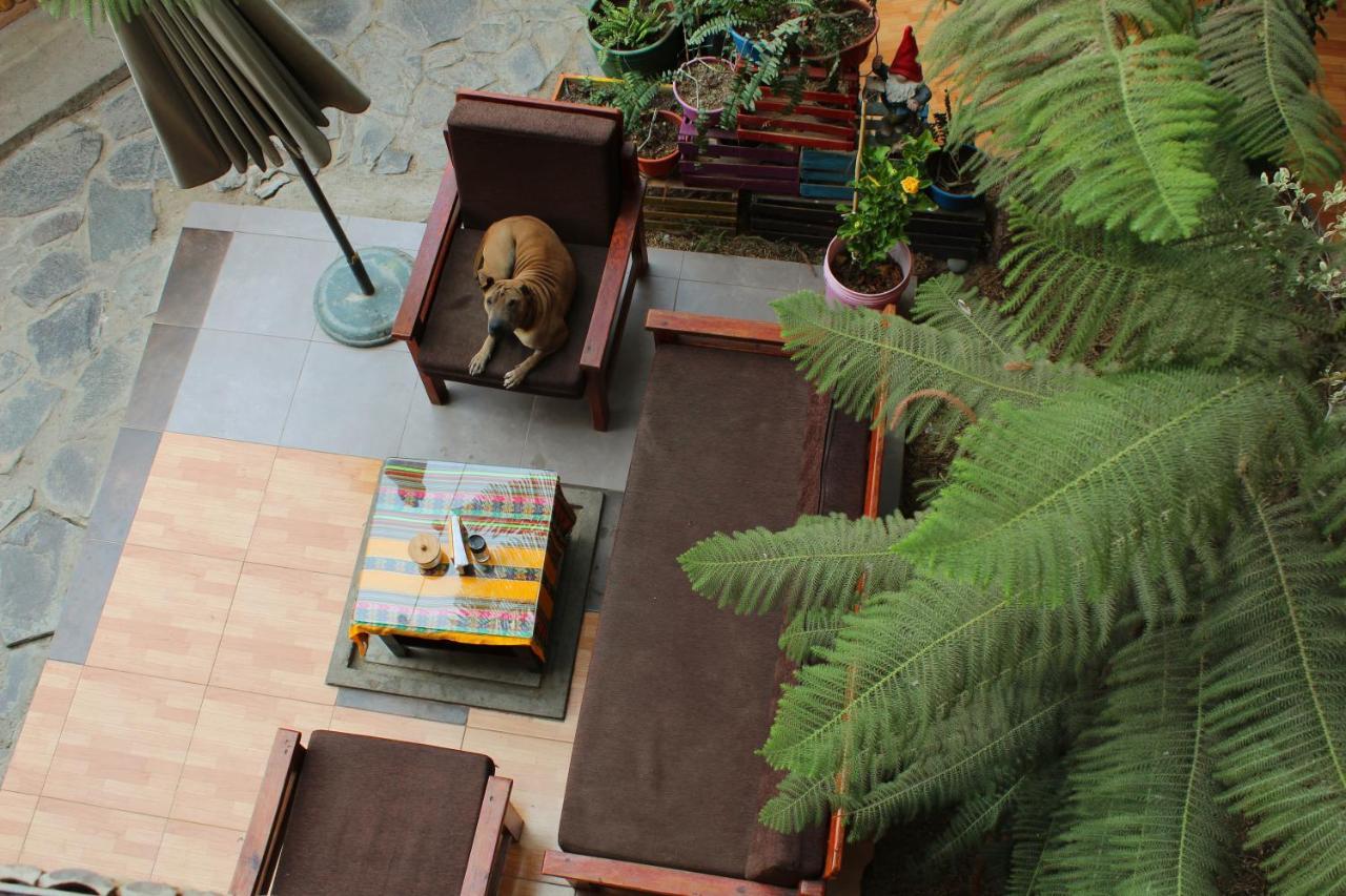 Hostel La Casa De Bamboo Ica Zewnętrze zdjęcie