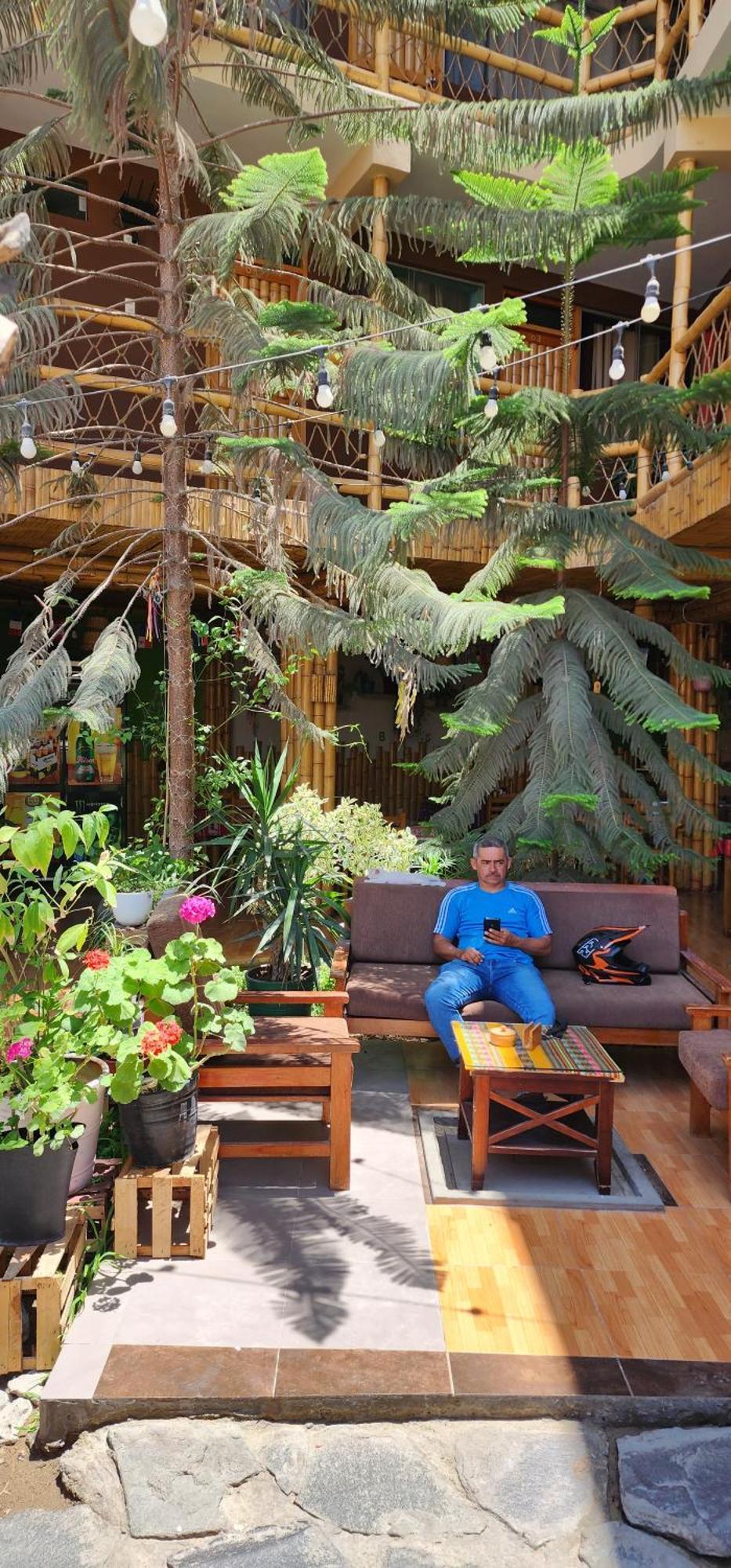 Hostel La Casa De Bamboo Ica Zewnętrze zdjęcie
